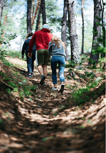 Forest Walks